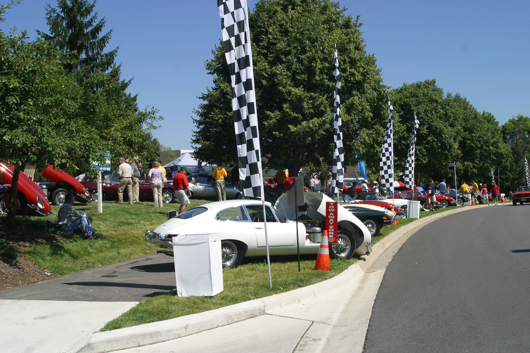 CC 2011- E-Type 50th anniversary